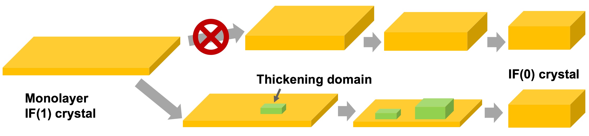 TOC graphic contrasting uniform and nucleation-and-growth pathways for PEO crystal thickening